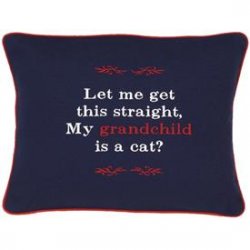 "Let Me Get This Straight, My Grandchild is A Cat?" Navy Embroidered Gift Pillow
