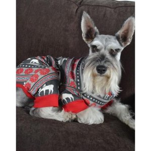 Lazy One Moose Fair Isle Onesie FlapJack for Dogs