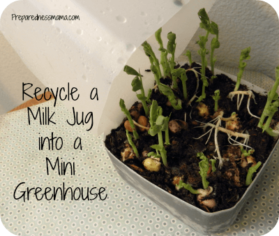 Earth Day Seed Starter Milk Jug Greenhouse