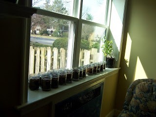 Earth Day Seed Starters Mason Jars