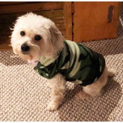 Big Feet Pajamas Green Camouflage Fleece Hooded Sweater for Dogs