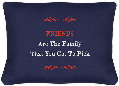 "Friends Are The Family That You Get To Pick" Blue Embroidered Gift Pillow