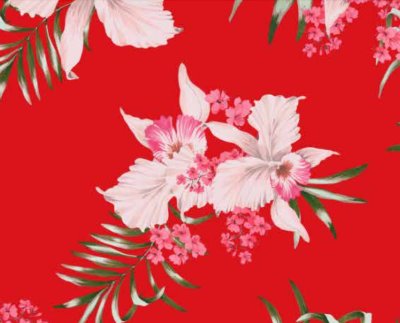 The Cat's Pajamas Women's Floral Festiva Pima Knit Cotton Classic Pajama Set