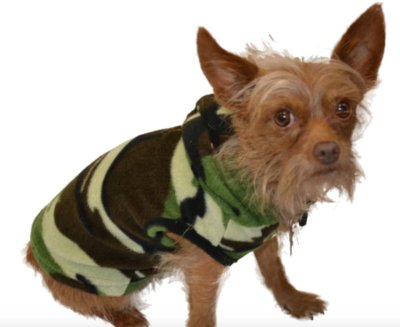 Big Feet Pajamas Green Camouflage Fleece Hooded Sweater for Dogs