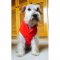 Big Feet Pajamas Red Fleece Hooded Sweater For Dogs