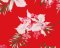 The Cat's Pajamas Women's Floral Festiva Pima Knit Cotton Classic Pajama Set