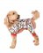 Lazy One Lights Out Onesie FlapJack for Dogs