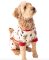 Lazy One Moosletoe Onesie FlapJack for Dogs